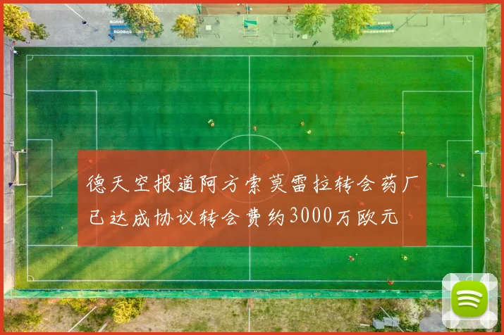 德天空报道阿方索莫雷拉转会药厂已达成协议转会费约3000万欧元