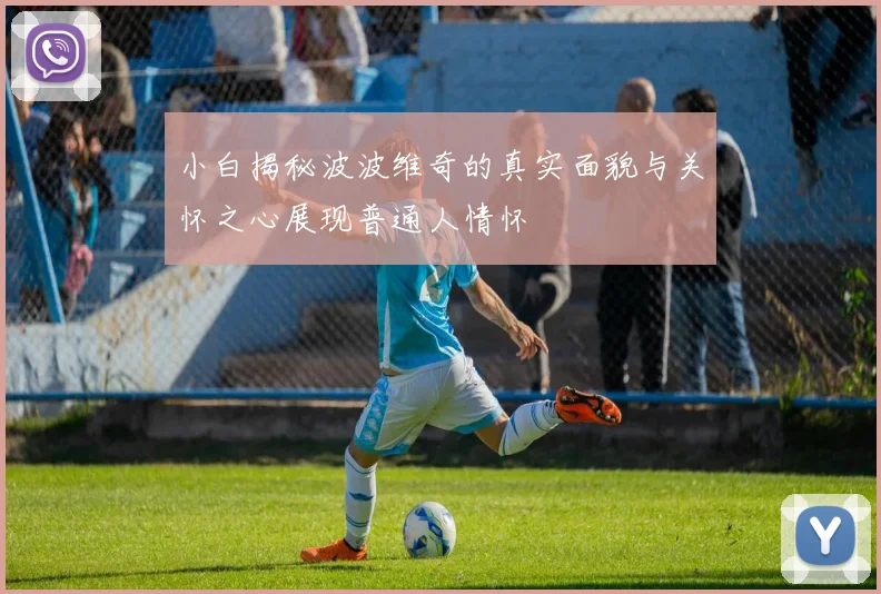 小白揭秘波波维奇的真实面貌与关怀之心展现普通人情怀